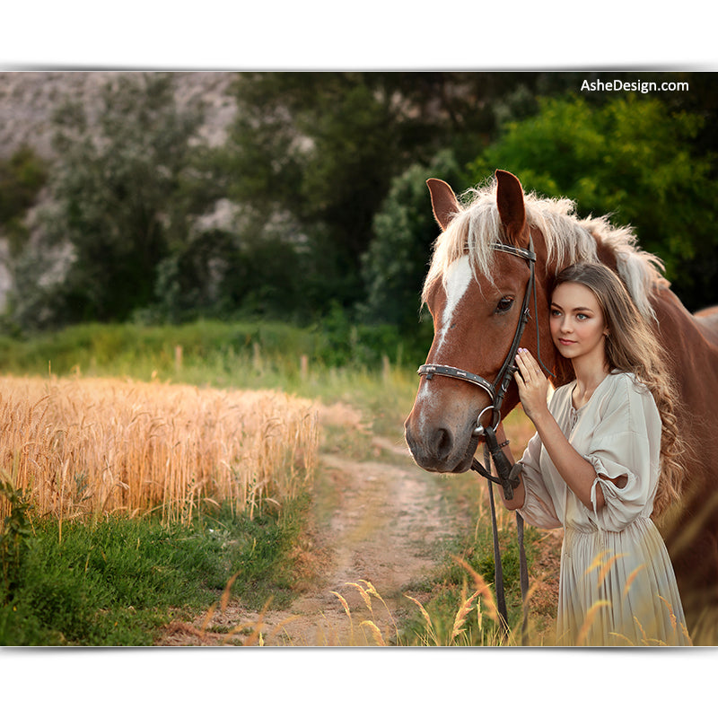 Digital Props 16x20 Backdrop Set - Country Road