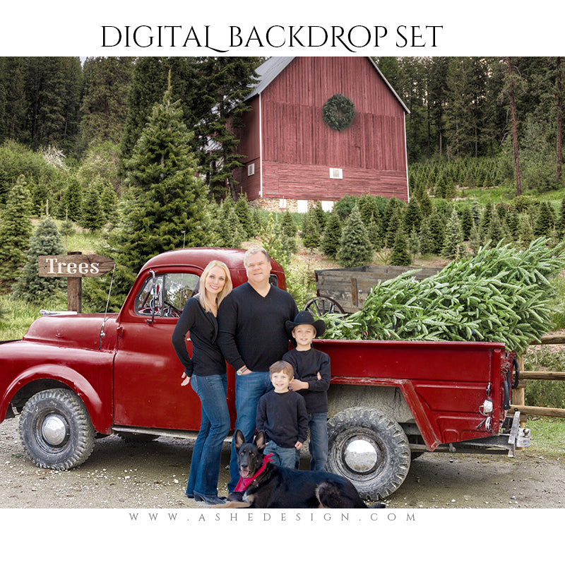 Digital Props 16x20 Backdrop Set - Country Road Christmas