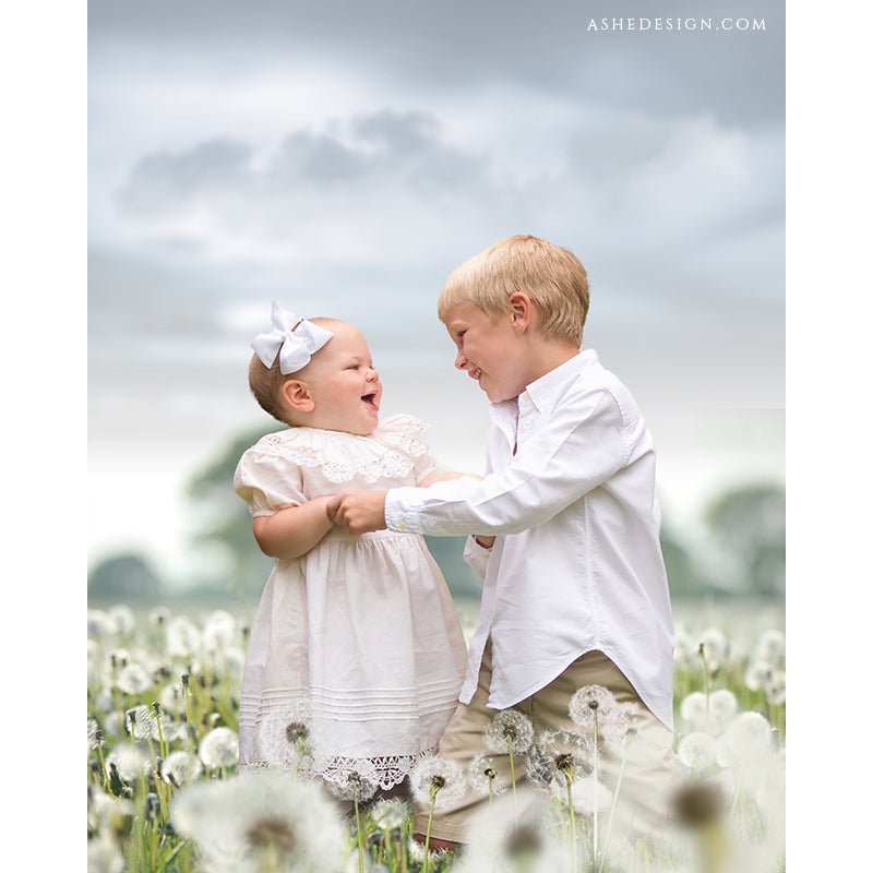 Digital Props 16x20 Backdrop Set - Dandelion Field