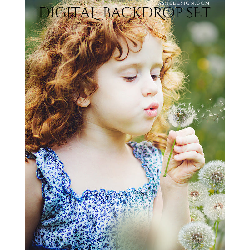 Ashe Design Digital Backdrop - Dandelions