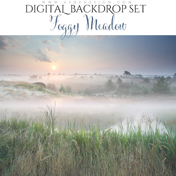 Ashe Design 16x20 Digital Backdrop Set - Foggy Meadow BEFORE