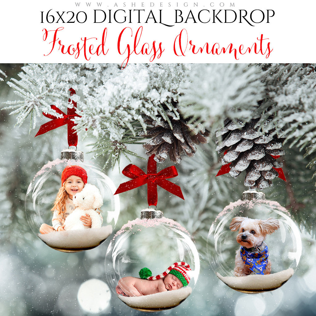 Digital Props 16x20 Backdrop Set - Frosted Glass Ornaments