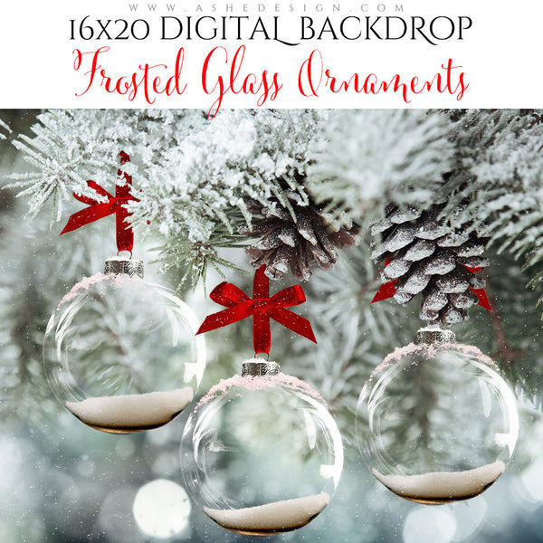 Digital Props 16x20 Backdrop Set - Frosted Glass Ornaments
