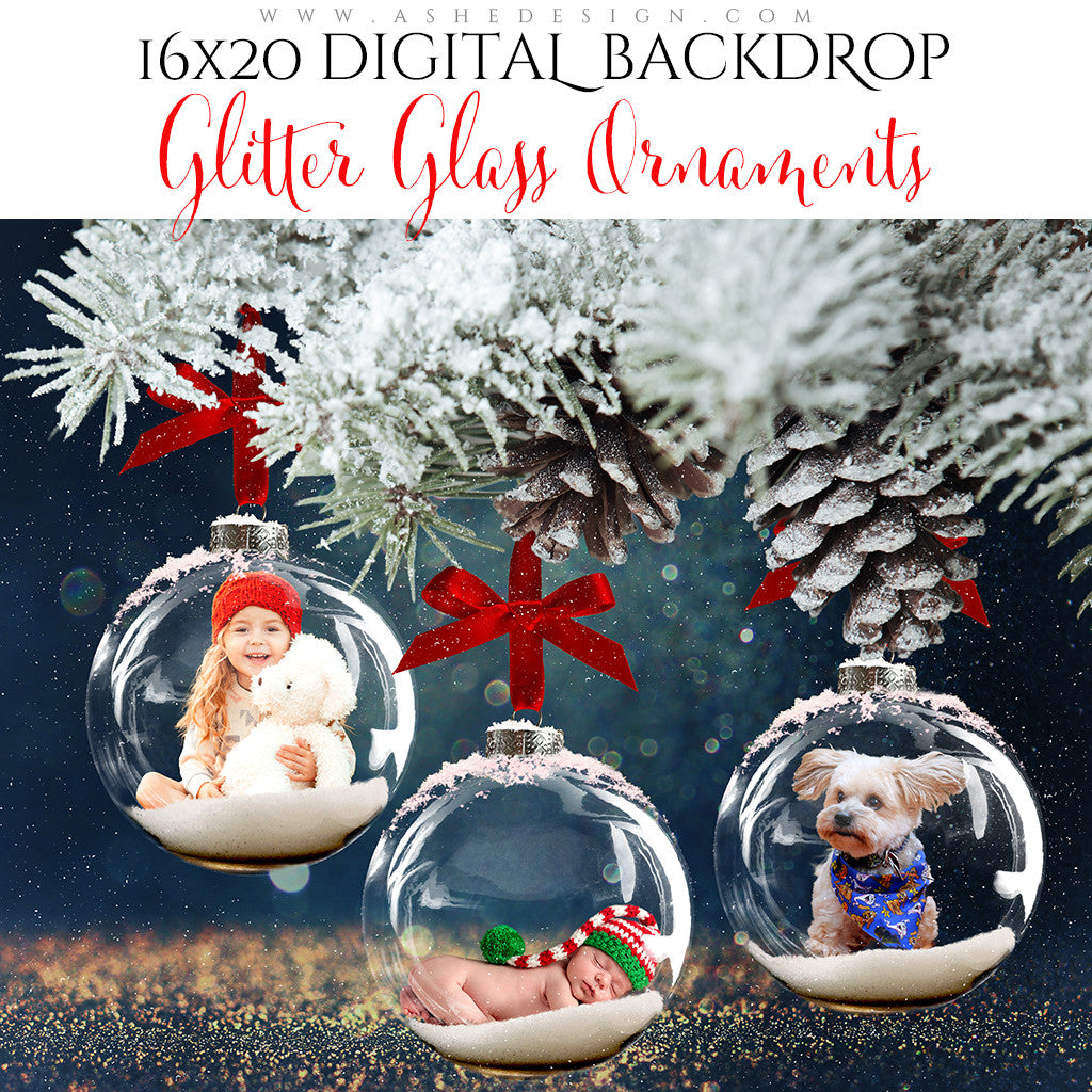 Digital Props 16x20 Backdrop Set - Glitter Glass Ornaments