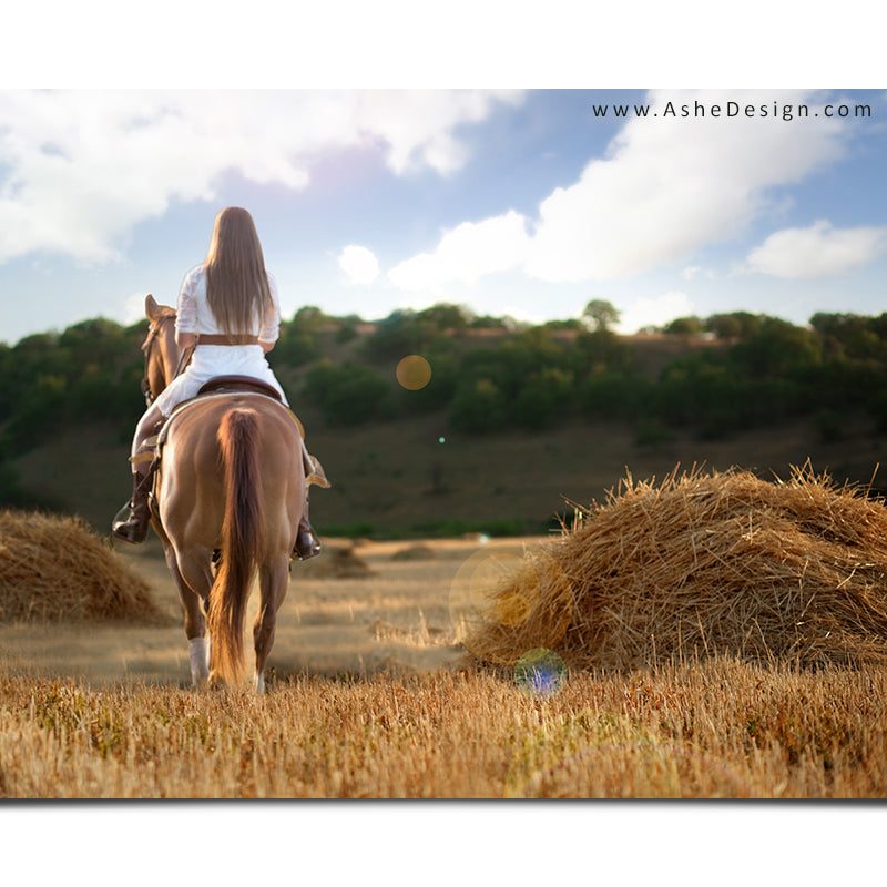 Ashe Design 16x20 Digital Backdrop Set - Hay Field After