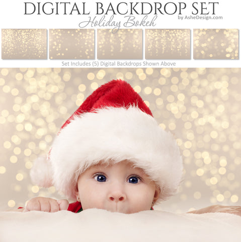 Digital Backdrop Set - Holiday Bokeh