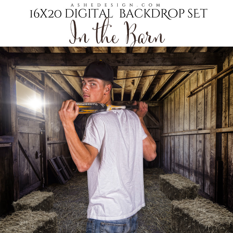 Digital Props 16x20 Backdrop Set - In The Barn