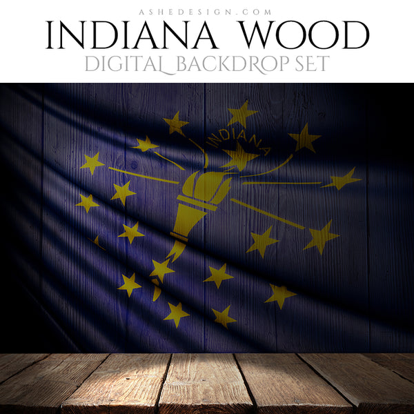 Ashe Design Digital Backdrop Indiana State Flag BEFORE