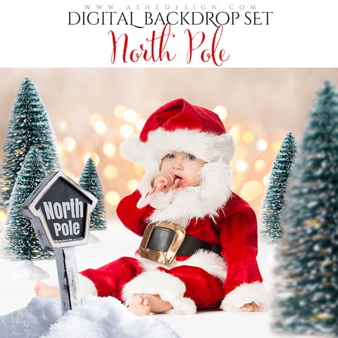 Digital Props 16x20 Backdrop Set - North Pole