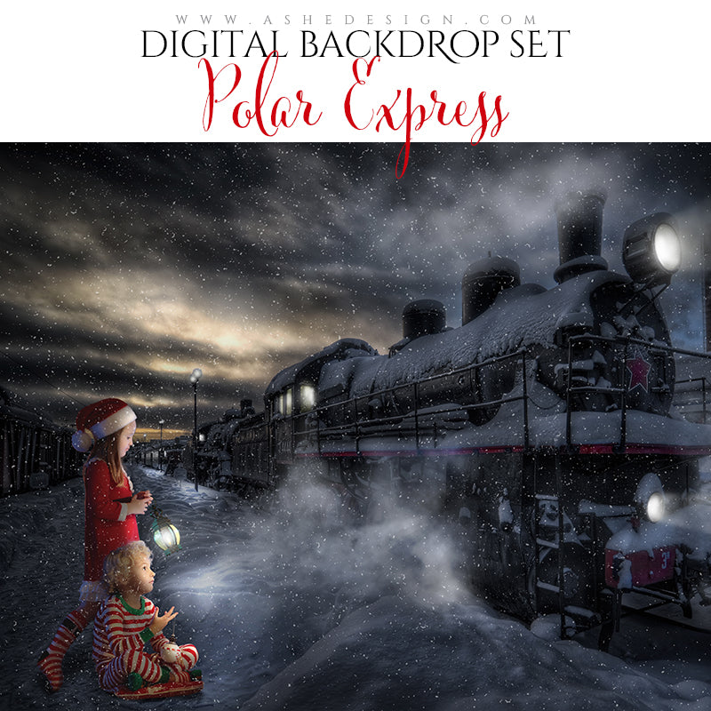 Digital Props 16x20 Backdrop Set - Polar Express