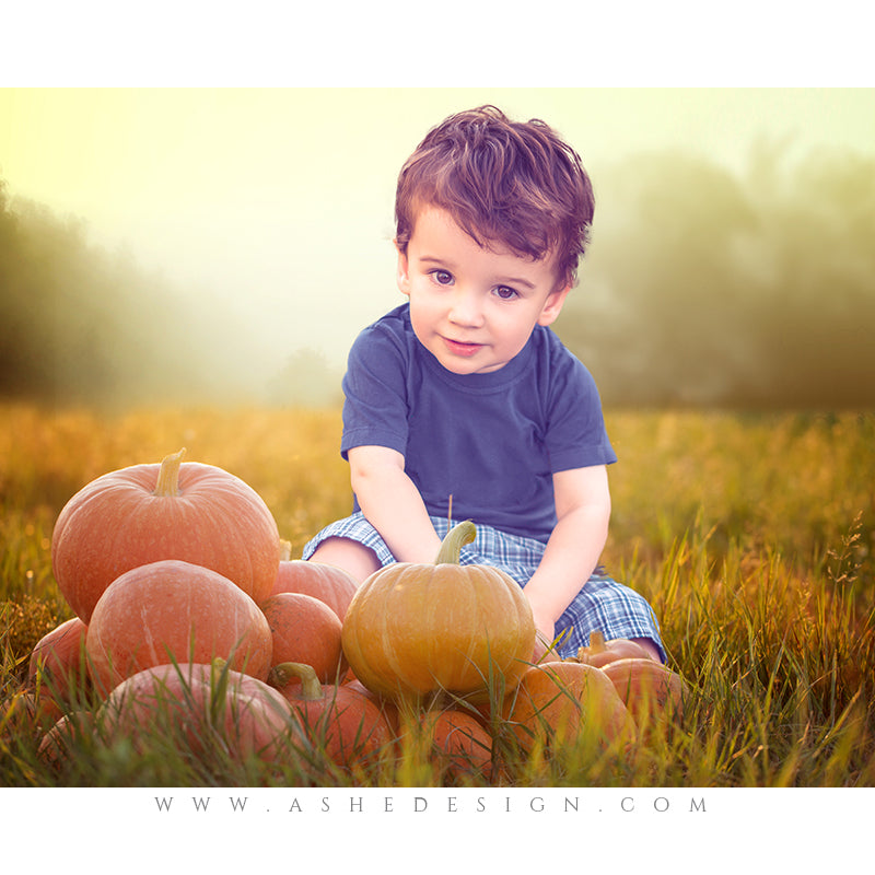 Digital Props 16x20 Backdrop Set - Pumpkin Haze