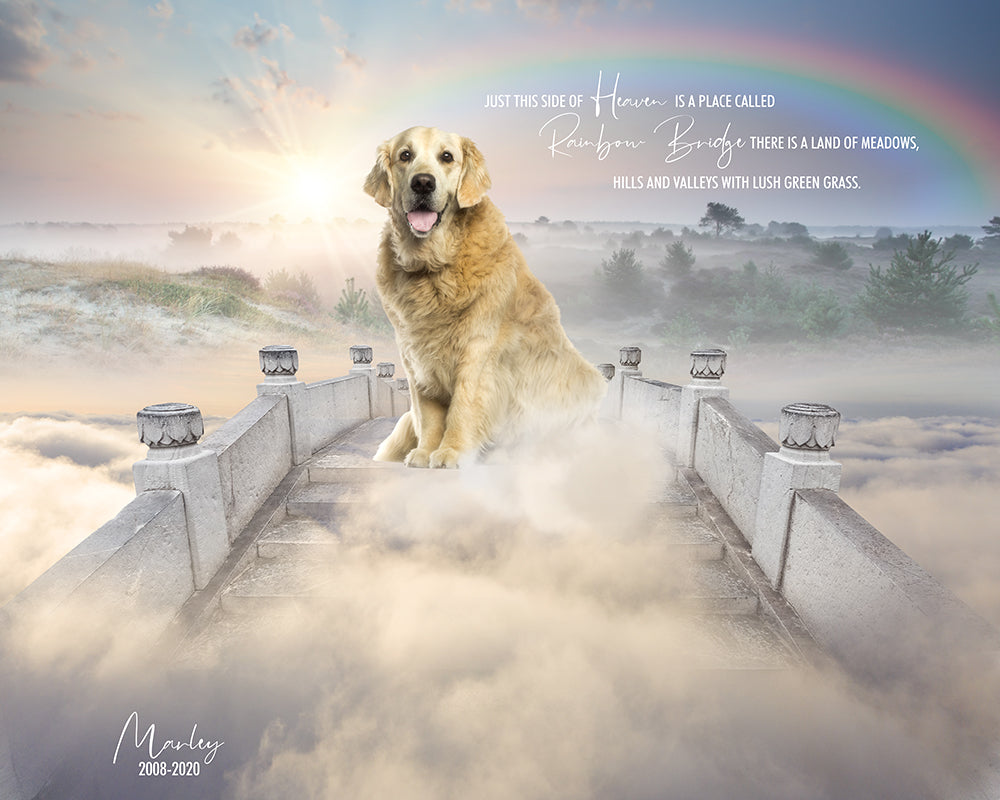 Digital Props 16x20 Backdrop Set - Rainbow Bridge