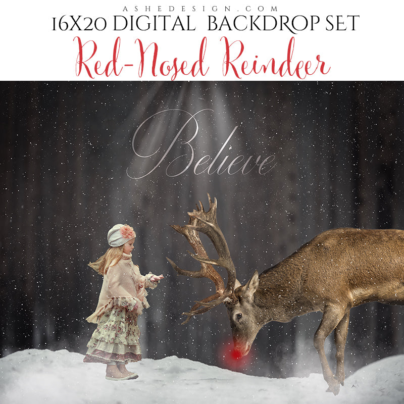 Digital Props 16x20 Backdrop Set - Red-Nosed Reindeer