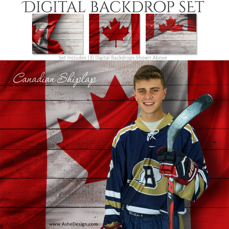 Ashe Design 16x20 Digital Backdrop Set - Canadian Shiplap AFTER