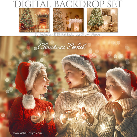Ashe Design 16x20 Digital Backdrop Set - Christmas Bokeh AFTER