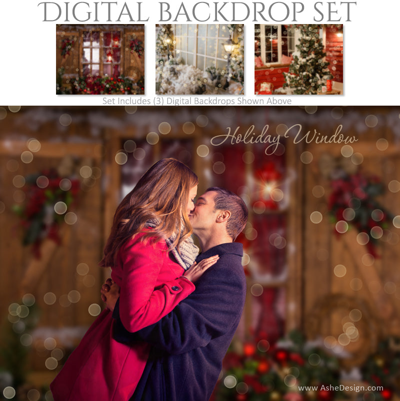 Ashe Design 16x20 Digital Backdrop Set - Holiday Window AFTER