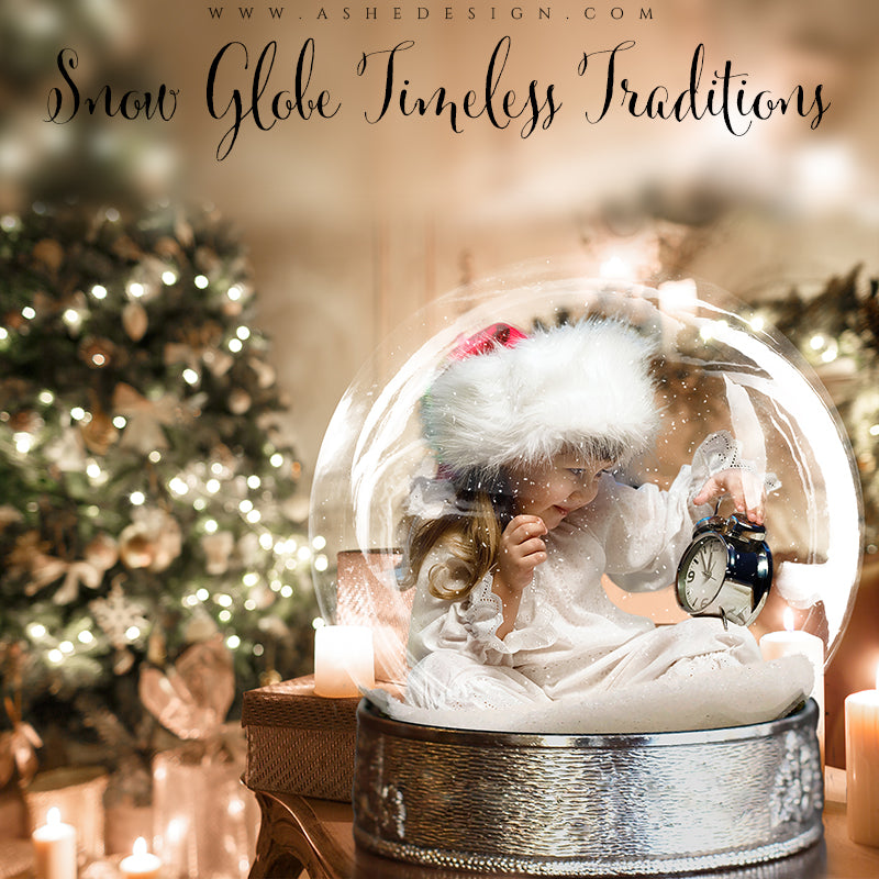 Ashe Design 8x10 Digital Backdrop Set - Snow Globe Timeless Traditions AFTER