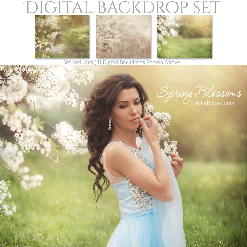 Digital Backdrop Set - Spring Blossoms