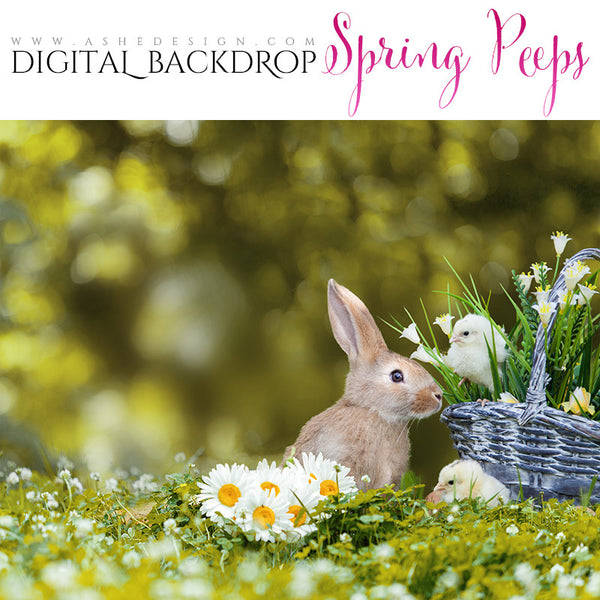Digital Props 16x20 Backdrop Set - Spring Peeps