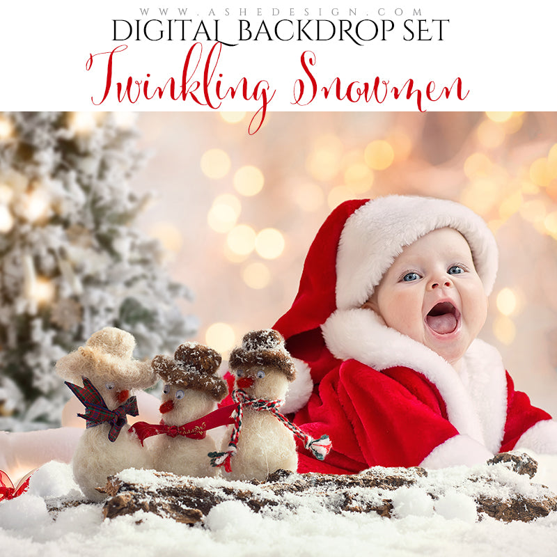 Digital Props 16x20 Backdrop Set - Twinkling Snowmen