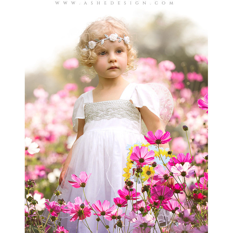 Digital Props 11x14 Backdrop Set - Wind Flowers