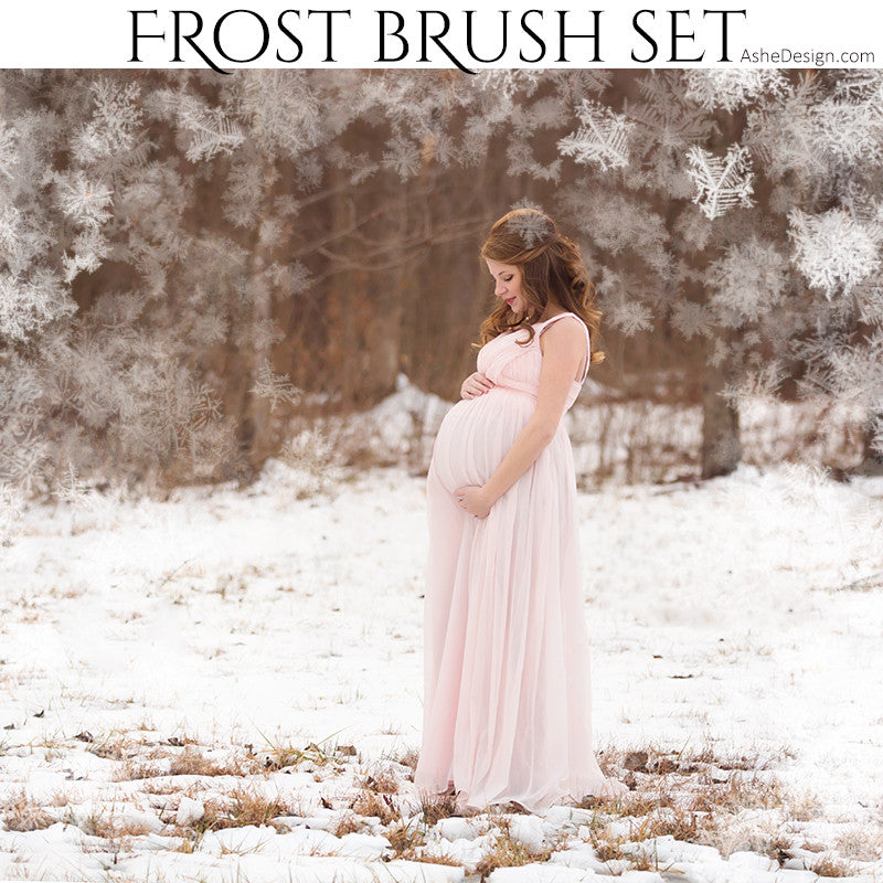 Designer Gems - Photoshop Brush Set - Frost