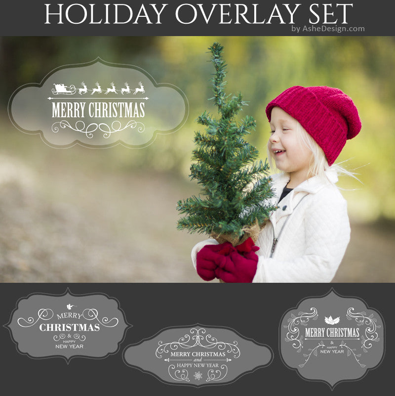 Designer Gems - Holiday Overlays - Ornate Greetings