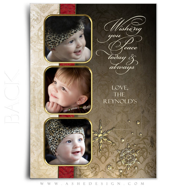 5x7 Flat Christmas Card - Joyful & Triumphant