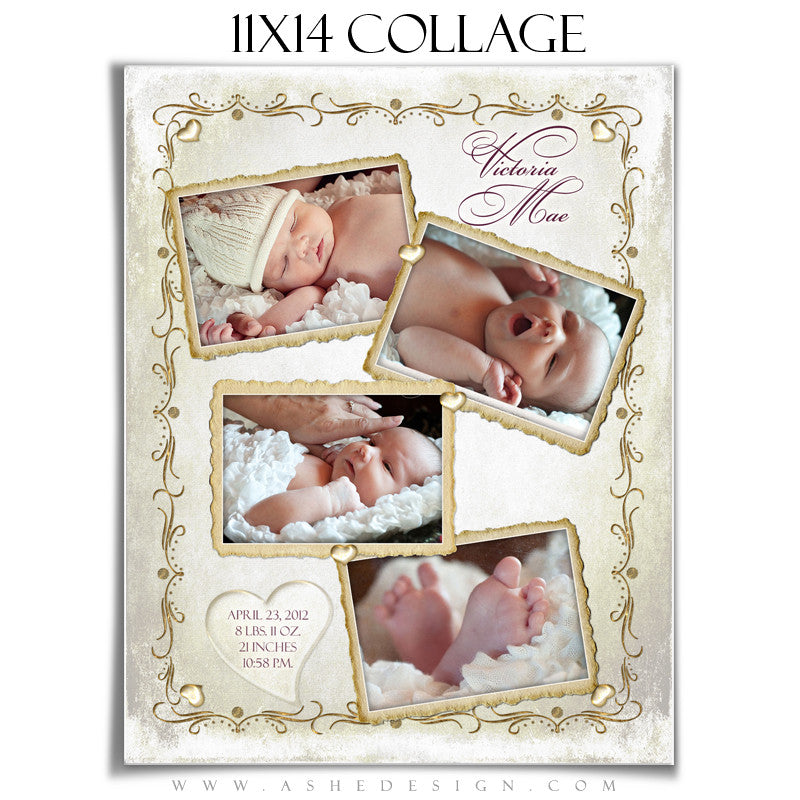 Newborn Collage (11x14) - Fleur De Lis