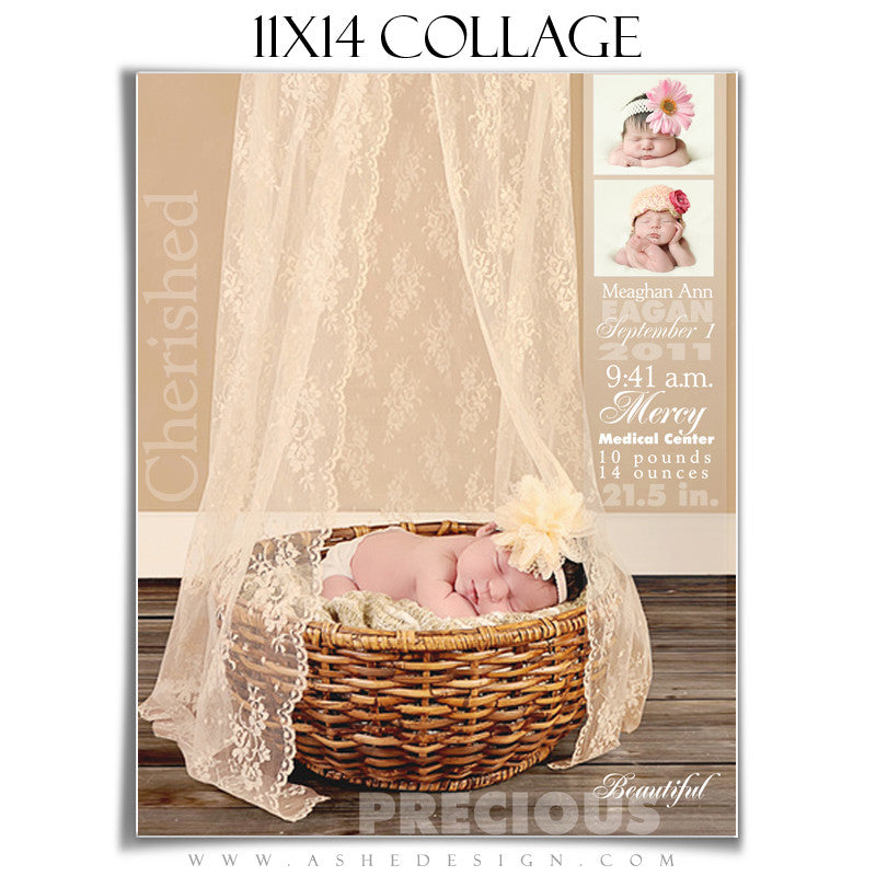 Ashe Design | 11x14 Newborn Photography Template | Sculpting Words