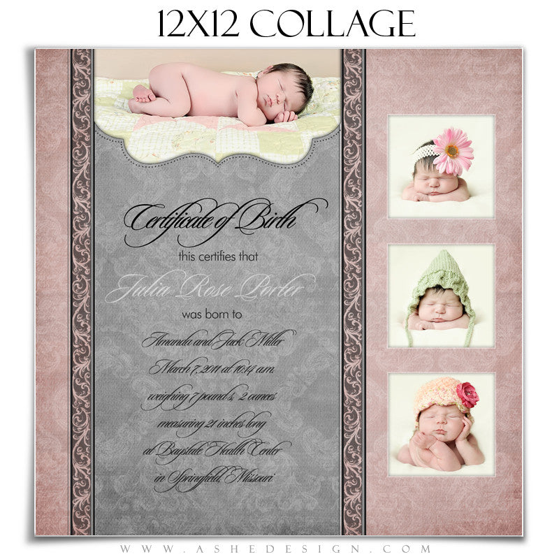 Baby Girl Collage (12x12) - Julia Rose
