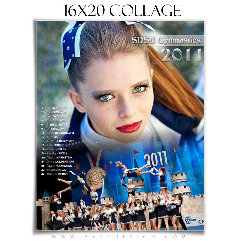Sports Collage (16x20) - Team Spirit