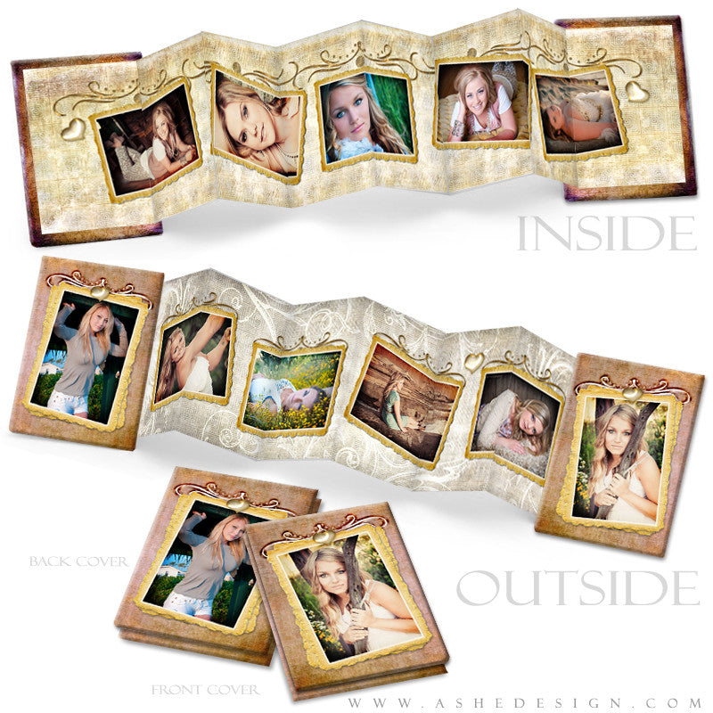 Photo Book Design Template (2.5x3.5 Wallet Accordion) - Fleur De Lis