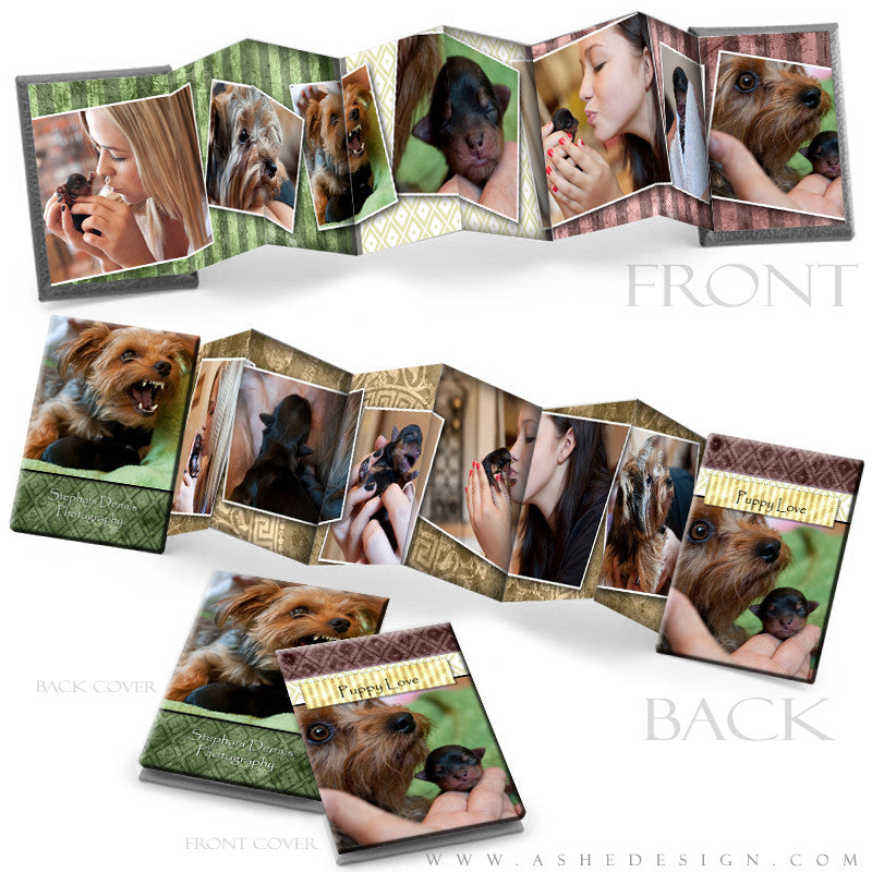 Photo Book Design Template (2.5x3.5 Wallet Accordion) - Pear Berry