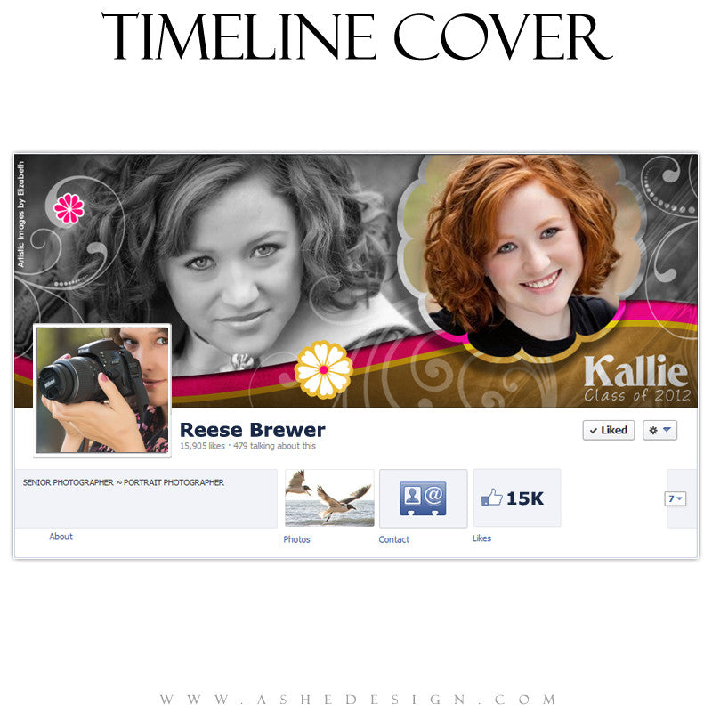 Timeline Cover Design - Chocolate Raspberry Swirl