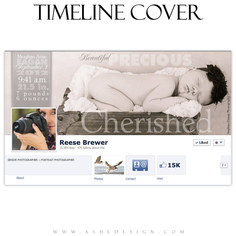 Timeline Covers - Sculpting Words