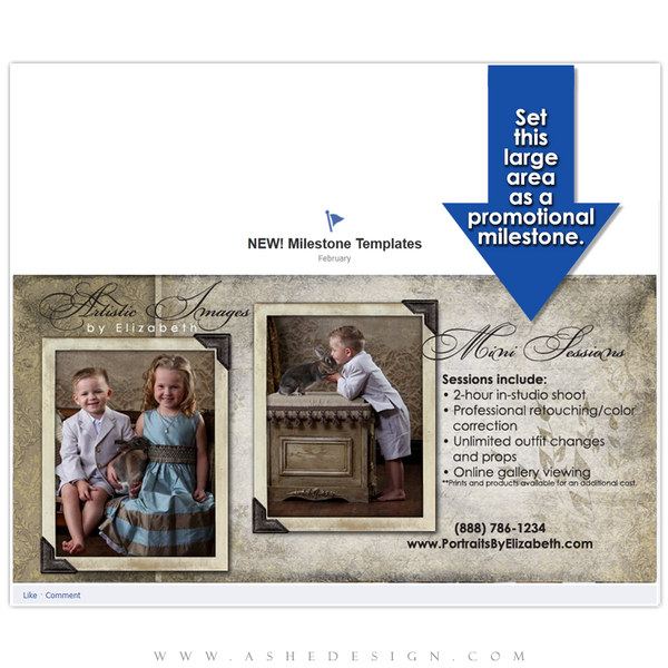 Timeline Promotional Pin Design - Aged Damask