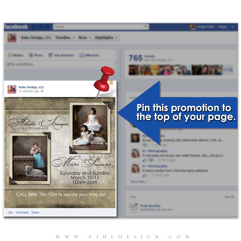 Timeline Promotional Pin Design - Aged Damask