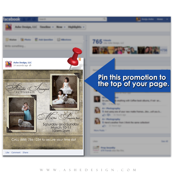 Timeline Promotional Pin Design - Aged Damask