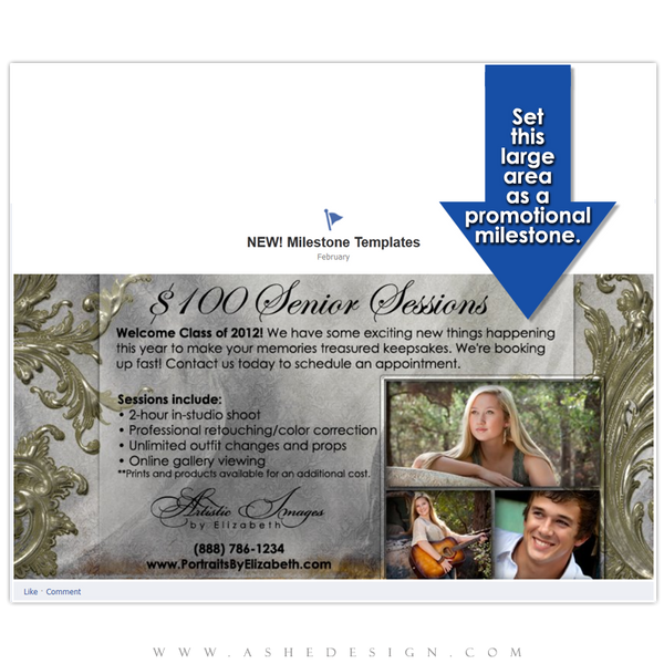 Timeline Promotional Pin Design - Antique Bling