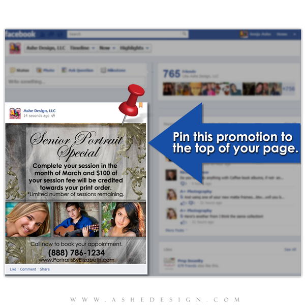 Timeline Promotional Pin Design - Antique Bling