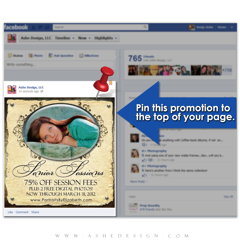 Timeline Promotional Pin Design - Ginger