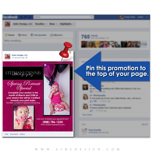 Timeline Promotional Pin Design - Olivia