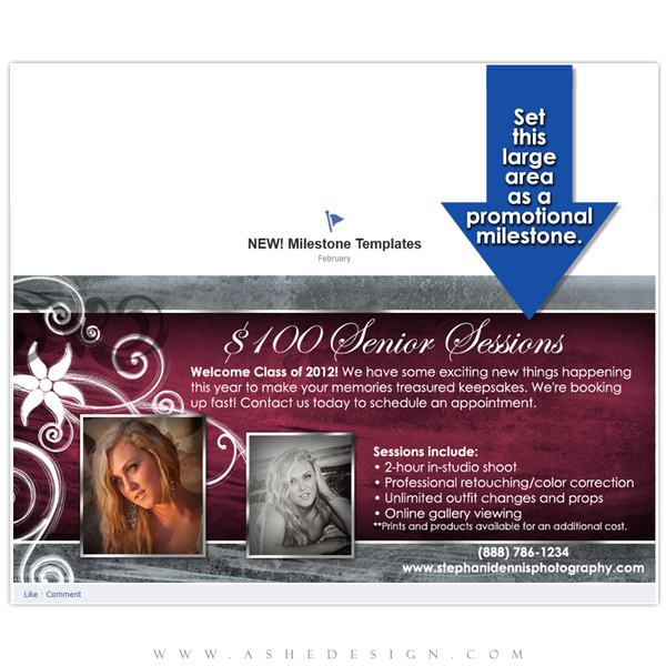 Timeline Promotional Pin Design - Steel Magnolia