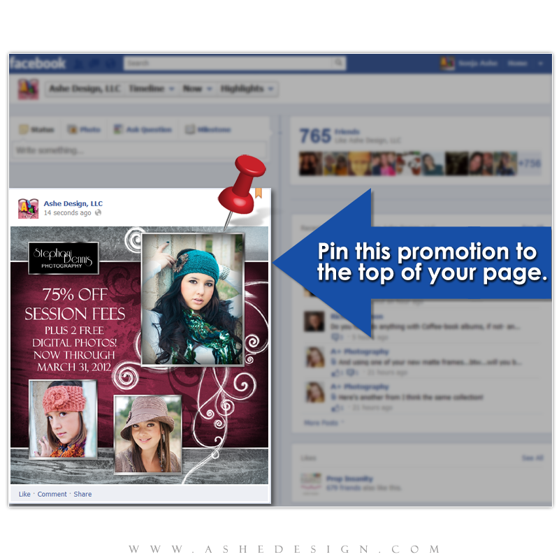 Timeline Promotional Pin Design - Steel Magnolia