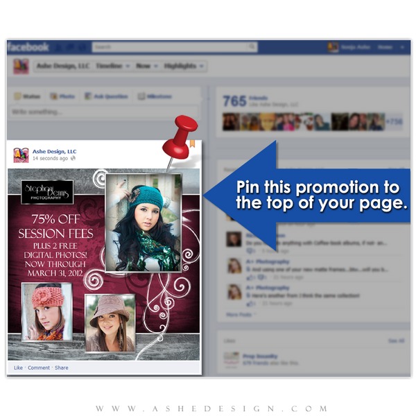 Timeline Promotional Pin Design - Steel Magnolia