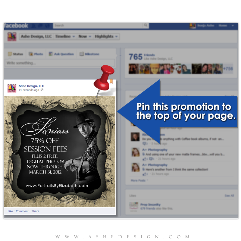 Timeline Promotional Pin Design - Timeless Beauty