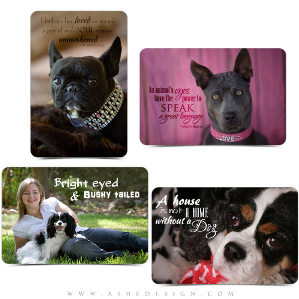 Pet Word Art Collection | Man's Best Friend examples