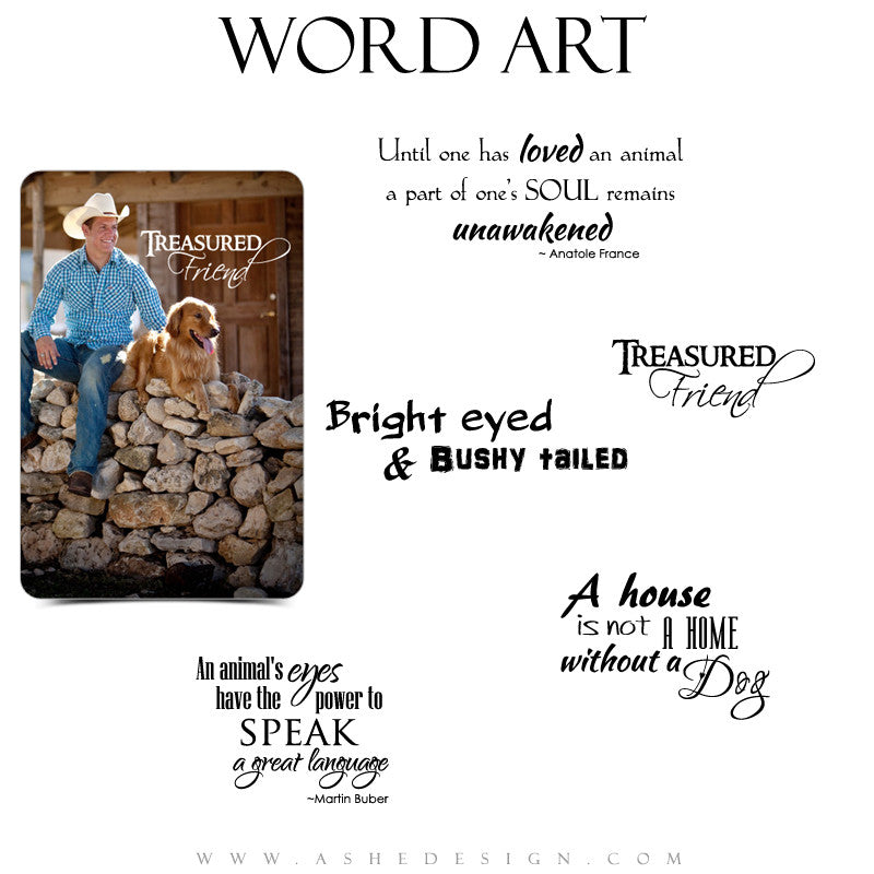 Pet Word Art Collection | Man's Best Friend