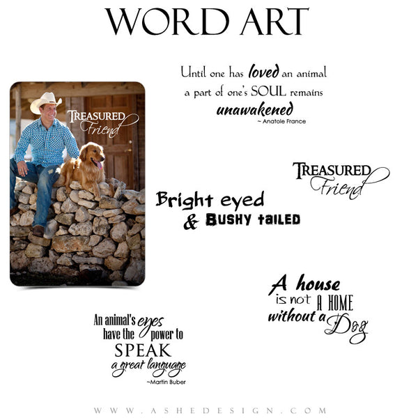 Pet Word Art Collection | Man's Best Friend